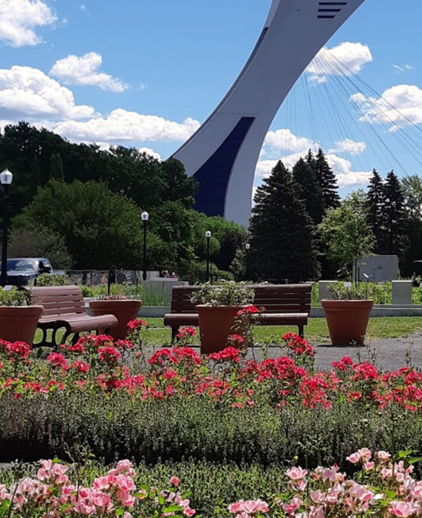 Stade Olympique